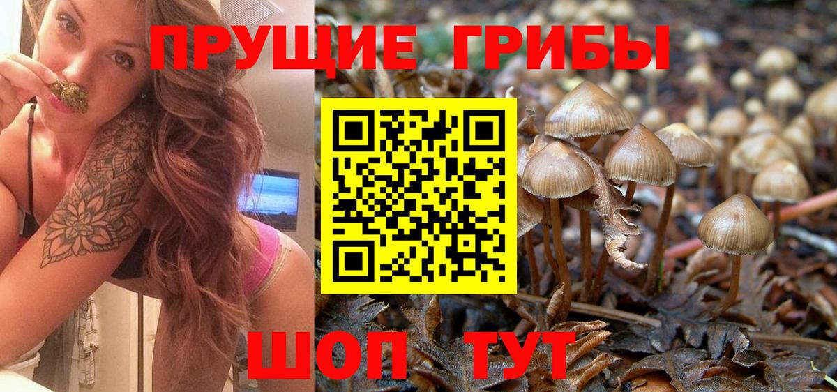 Рязань  хочу   Галлюциногенные грибы ЛСД  Вход с VPN  Псилоцибиновые грибы ЛСД 